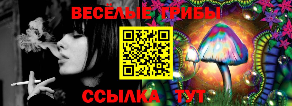 Галлюциногенные грибы Cubensis Муравленко